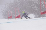 IMG_8849