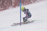 IMG_8859