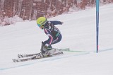 IMG_8860
