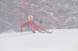 IMG_8865