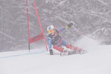 IMG_8868