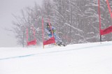 IMG_8875