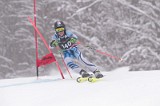 IMG_8881