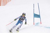 IMG_8886