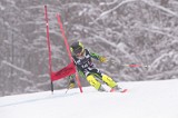 IMG_8893
