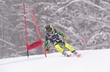 IMG_8894