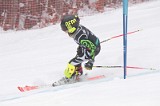 IMG_8900