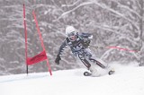 IMG_8910