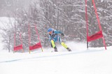IMG_8921