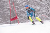 IMG_8925