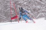IMG_8937