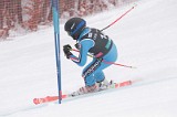 IMG_8946