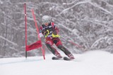IMG_8966