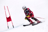 IMG_8973