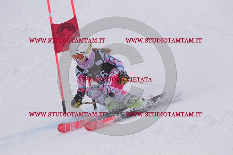 IMG_7842.JPG