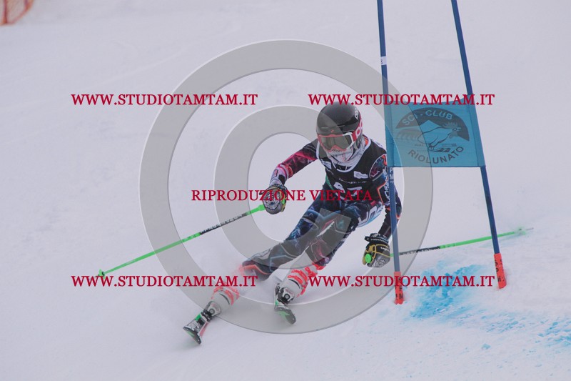 IMG_7851.JPG