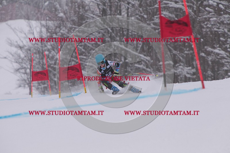 IMG_7860.JPG