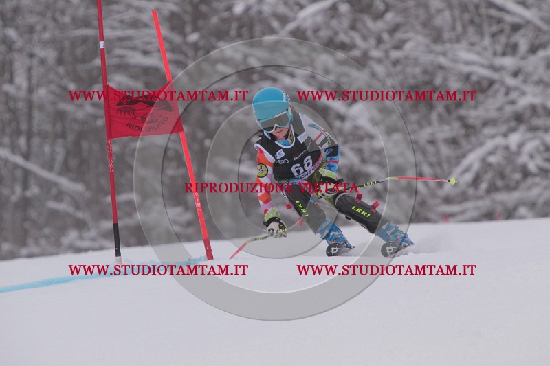 IMG_7862.JPG