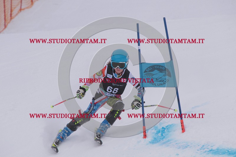 IMG_7866.JPG