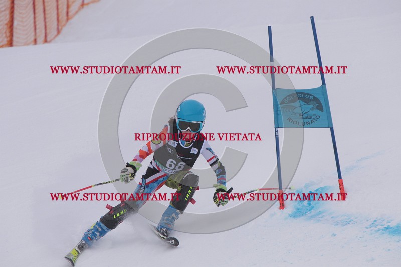 IMG_7867.JPG