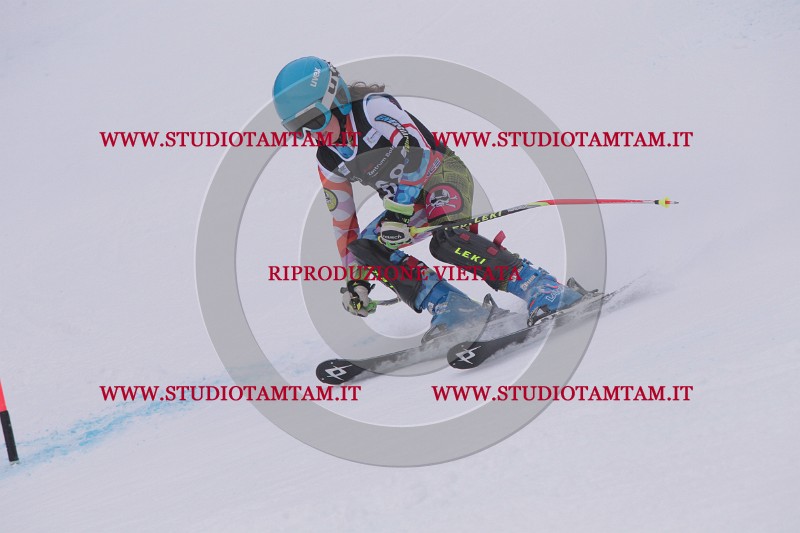 IMG_7868.JPG
