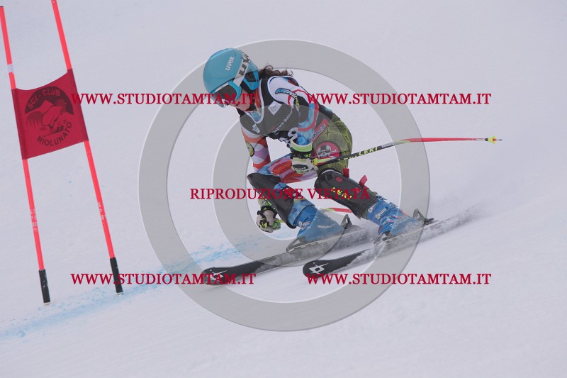 IMG_7869.JPG