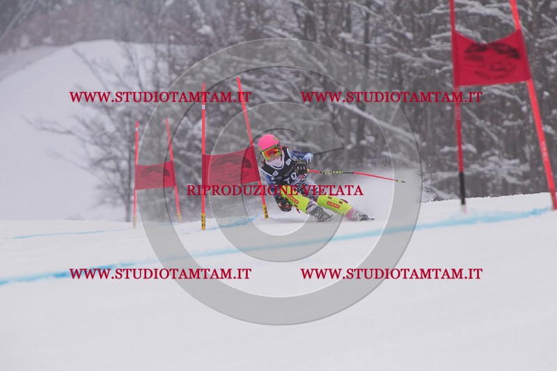 IMG_7885.JPG