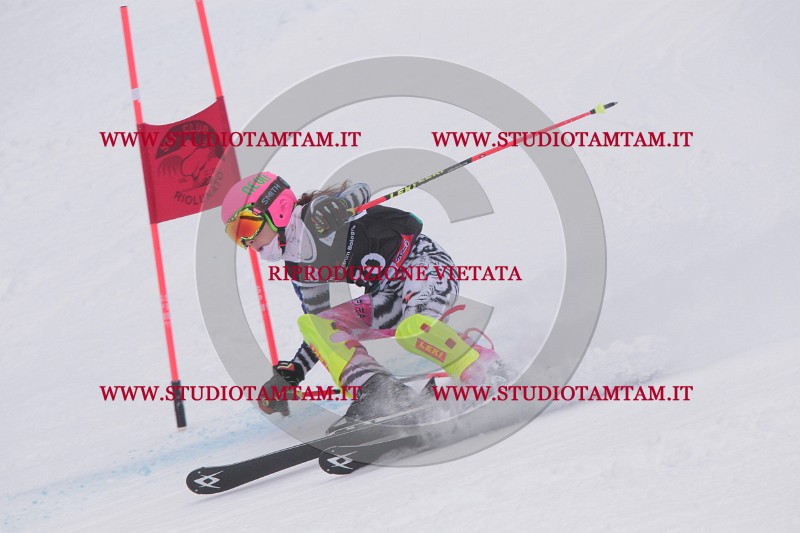 IMG_7894.JPG