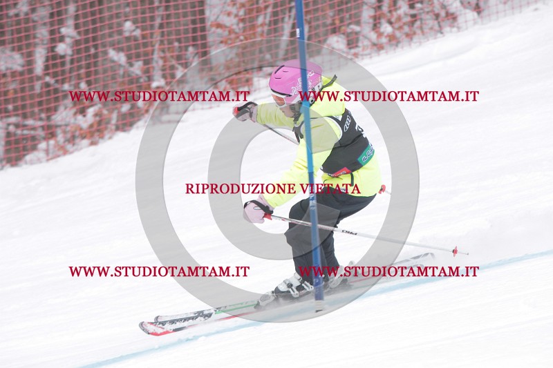 IMG_7961.JPG