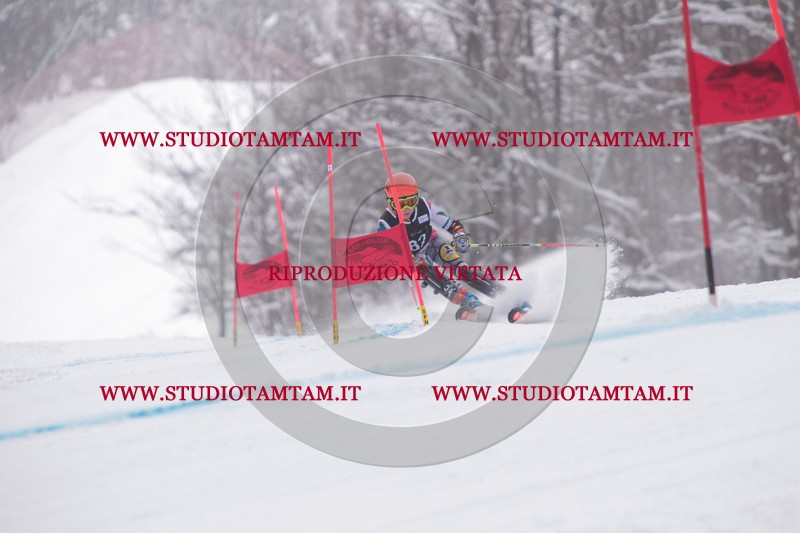 IMG_8043.JPG