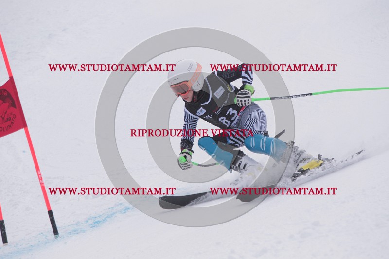 IMG_8067.JPG