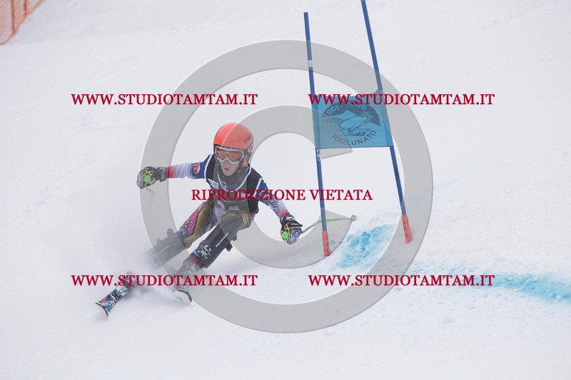 IMG_8085.JPG