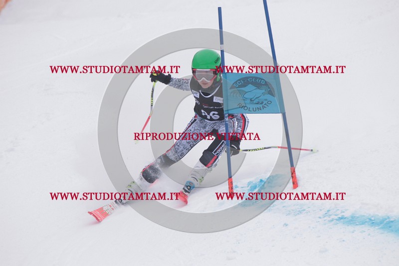 IMG_8096.JPG
