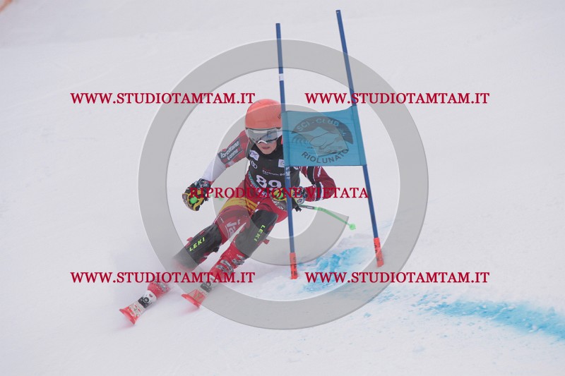 IMG_8129.JPG