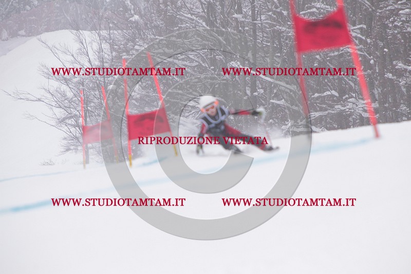 IMG_8166.JPG