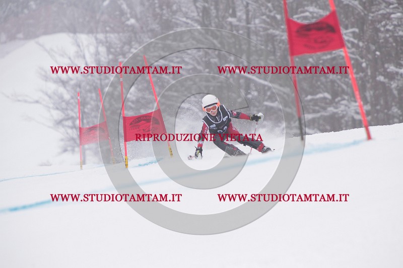 IMG_8167.JPG