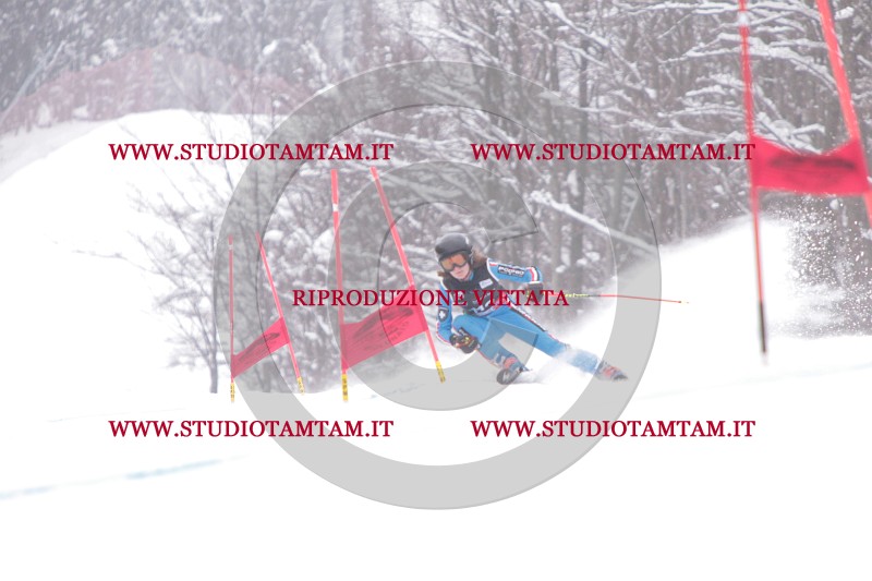 IMG_8458.JPG
