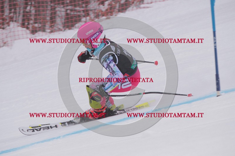 IMG_8553.JPG