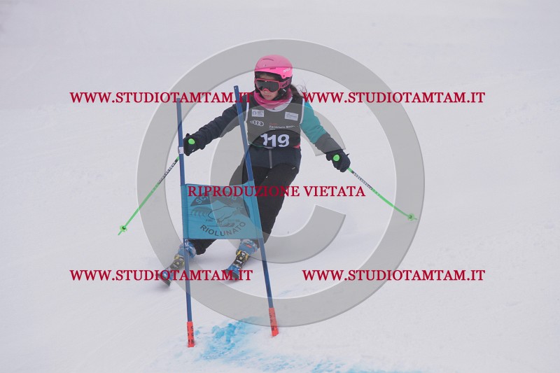 IMG_8560.JPG