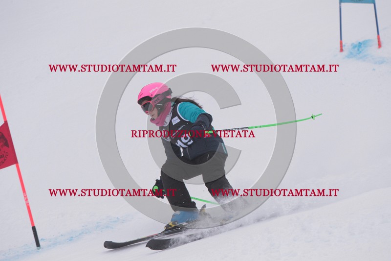 IMG_8563.JPG
