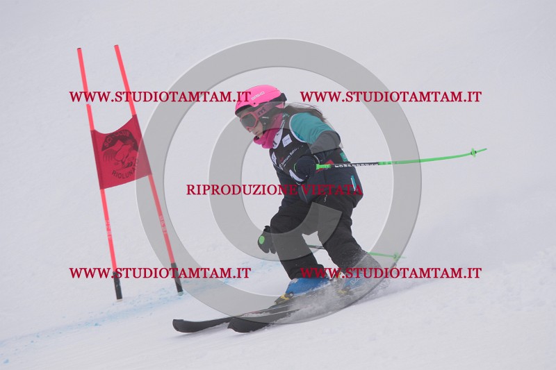 IMG_8564.JPG