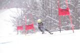 IMG_7771