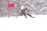 IMG_7773