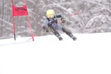 IMG_7774