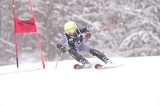 IMG_7776