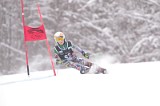 IMG_7790