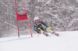 IMG_7801