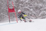 IMG_7802
