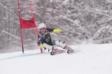 IMG_7803