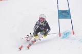 IMG_7805